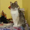 Отзыв от Яна Волкова